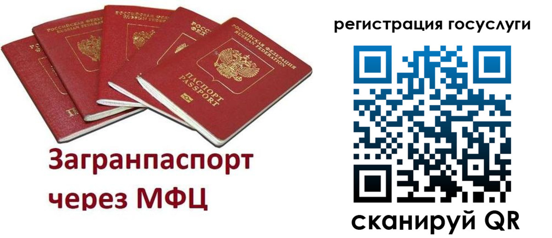 прописка 2025 в Волосово